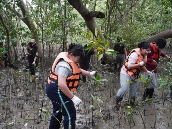 ปลูกป่าชายเลน