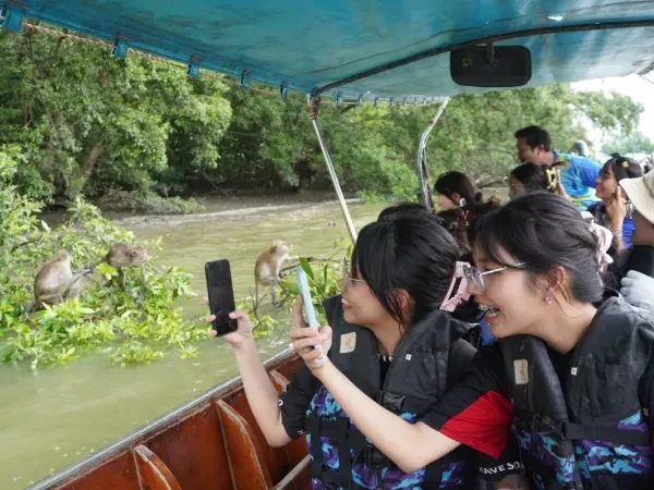 ชมลิงแสม