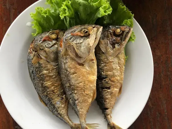 ปลาทูทอด